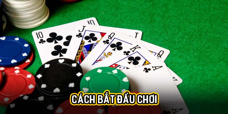 Cách bắt đầu chơi