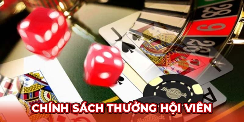 Chính sách thưởng hội viên