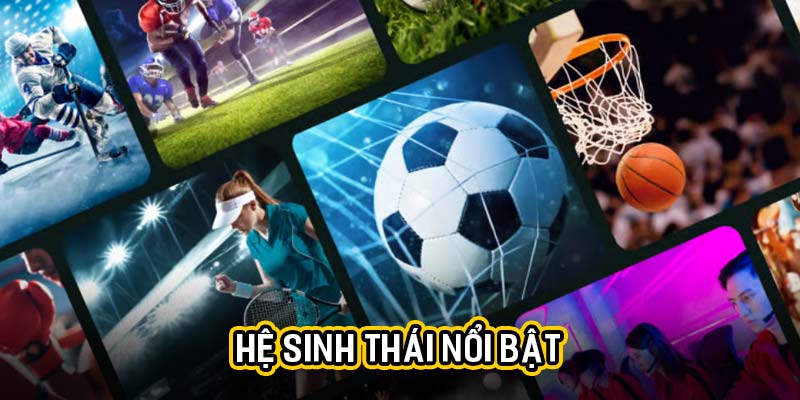 Hệ sinh thái nổi bật