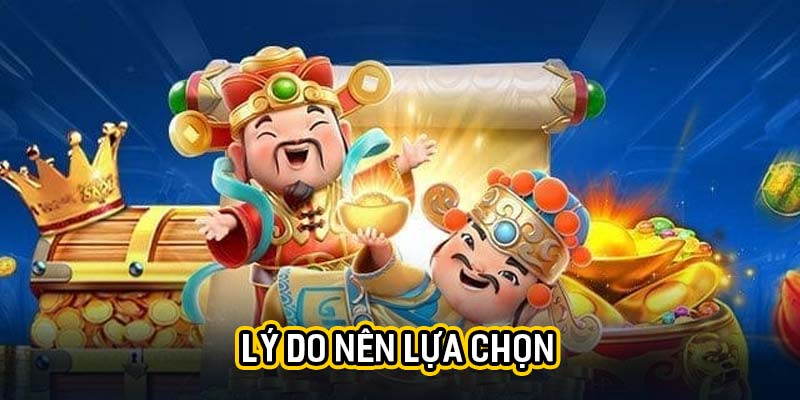Lý do nên lựa chọn