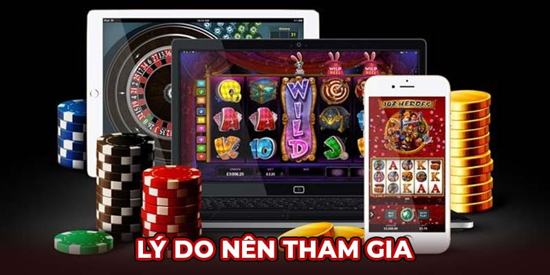 Lý do nên tham gia