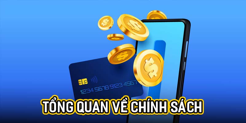Tổng quan về chính sách